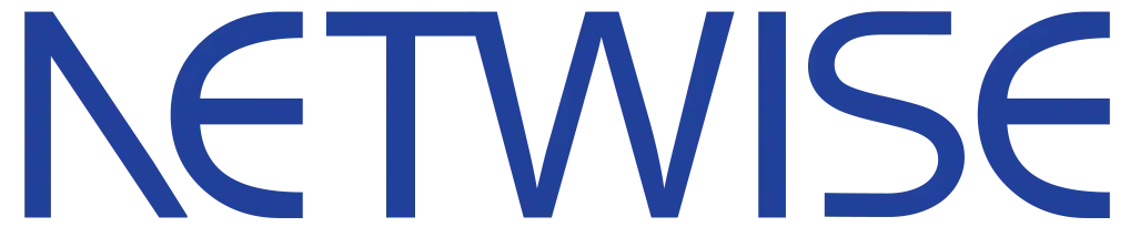 orginl.Netwisetech-logo